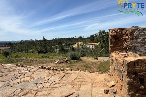 Villa i Serta, Castelo Branco, Serta - € 290.000 | Ref: MG165 - foto 41