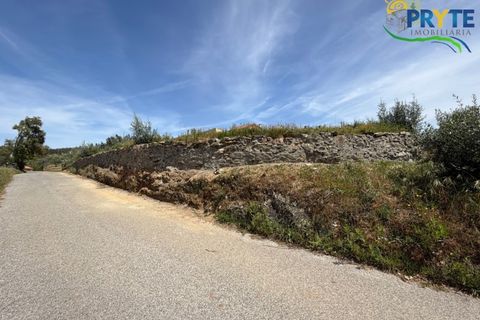 Villa i Serta, Castelo Branco, Serta - € 290.000 | Ref: MG165 - foto 44