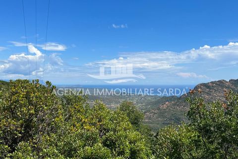 Villa i Jerzu, Nuoro, Jerzu - € 350.000 | Ref: JER50 - foto 4
