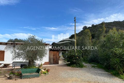 Villa i Jerzu, Nuoro, Jerzu - € 350.000 | Ref: JER50 - foto 5