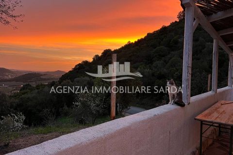 Villa i Jerzu, Nuoro, Jerzu - € 350.000 | Ref: JER50 - foto 8