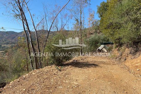 Villa i Jerzu, Nuoro, Jerzu - € 350.000 | Ref: JER50 - foto 10