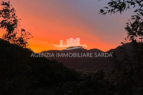 Villa i Jerzu, Nuoro, Jerzu - € 350.000 | Ref: JER50 - foto 11