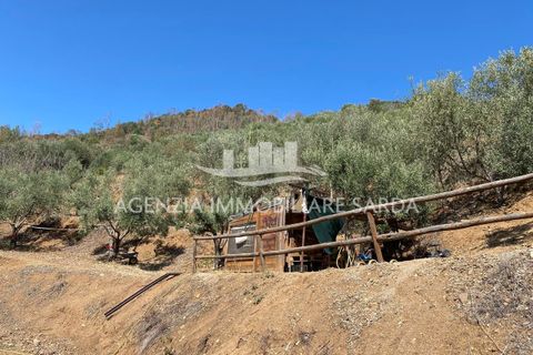 Villa i Jerzu, Nuoro, Jerzu - € 350.000 | Ref: JER50 - foto 13