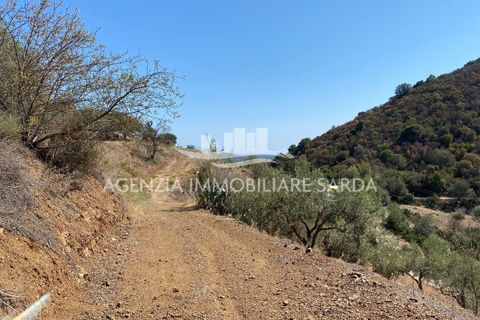 Villa i Jerzu, Nuoro, Jerzu - € 350.000 | Ref: JER50 - foto 15