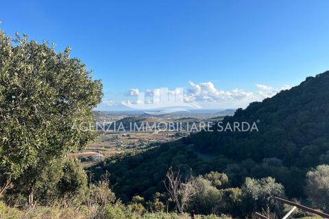 Villa i Jerzu, Nuoro, Jerzu - € 350.000 | Ref: JER50 - foto 18