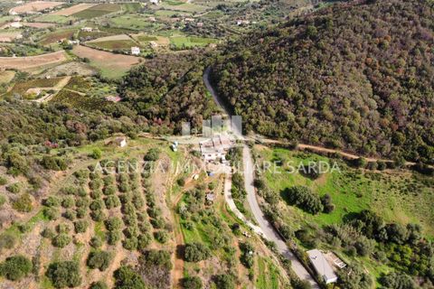 Villa i Jerzu, Nuoro, Jerzu - € 350.000 | Ref: JER50 - foto 19