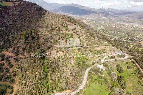 Villa i Jerzu, Nuoro, Jerzu - € 350.000 | Ref: JER50 - foto 20