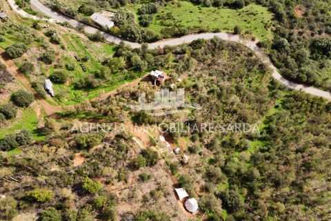 Villa i Jerzu, Nuoro, Jerzu - € 350.000 | Ref: JER50 - foto 21