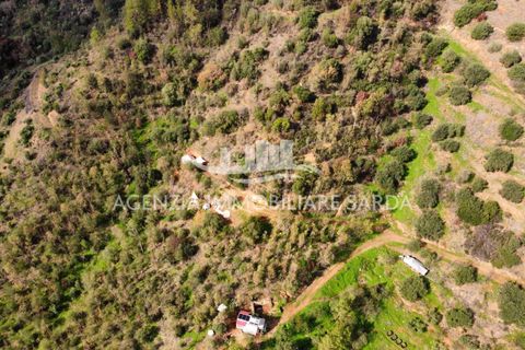 Villa i Jerzu, Nuoro, Jerzu - € 350.000 | Ref: JER50 - foto 22