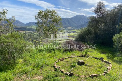 Villa i Jerzu, Nuoro, Jerzu - € 350.000 | Ref: JER50 - foto 45