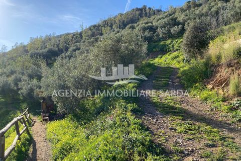 Villa i Jerzu, Nuoro, Jerzu - € 350.000 | Ref: JER50 - foto 46