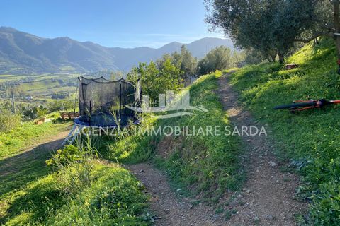 Villa i Jerzu, Nuoro, Jerzu - € 350.000 | Ref: JER50 - foto 47