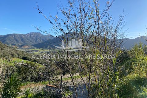 Villa i Jerzu, Nuoro, Jerzu - € 350.000 | Ref: JER50 - foto 48