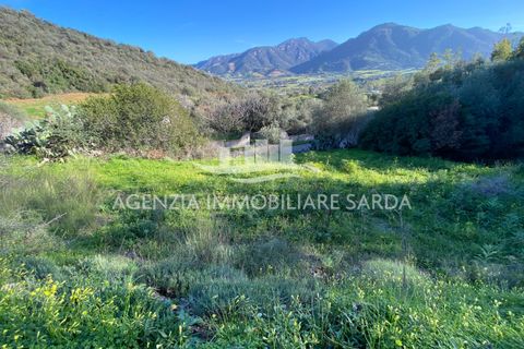 Villa i Jerzu, Nuoro, Jerzu - € 350.000 | Ref: JER50 - foto 49