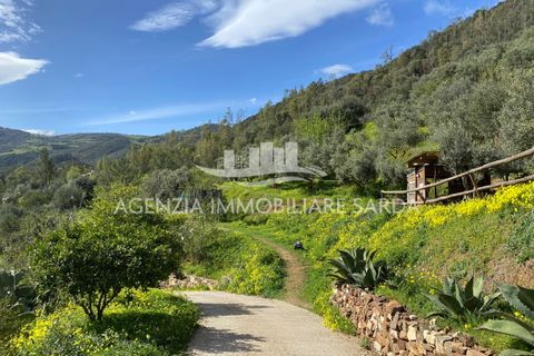 Villa i Jerzu, Nuoro, Jerzu - € 350.000 | Ref: JER50 - foto 50