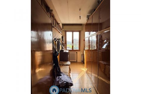Rækkehus i Padua, Padua, Padua - € 265.000 | Ref: MLS2130-1300 - foto 10
