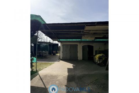 Rækkehus i Padua, Padua, Padua - € 265.000 | Ref: MLS2130-1300 - foto 14