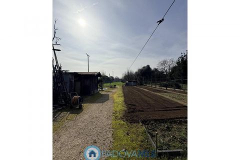 Rækkehus i Padua, Padua, Padua - € 265.000 | Ref: MLS2130-1300 - foto 20