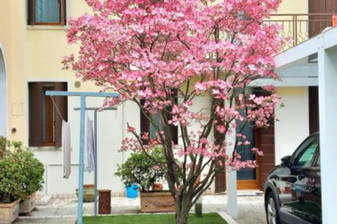 Rækkehus i Castelfranco Veneto, Treviso, Castelfranco Veneto - € 320.000 | Ref: CS100 - foto 4
