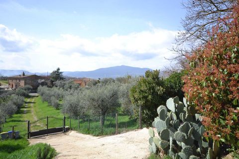 Villa i Citta della Pieve, Perugia, Citta della Pieve - € 90.000 | Ref: CDP5340M-963247 - foto 13