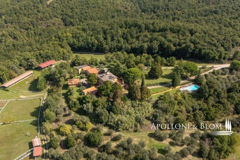 Villa i Trequanda, Siena, Trequanda - € 3.150.000 | Ref: TRQ3345-986353 - foto 4