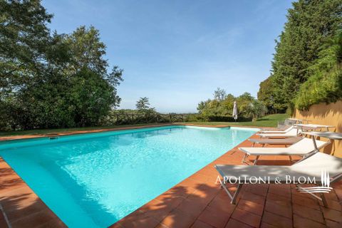 Villa i Trequanda, Siena, Trequanda - € 3.150.000 | Ref: TRQ3345-986353 - foto 11