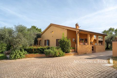 Villa i Trequanda, Siena, Trequanda - € 3.150.000 | Ref: TRQ3345-986353 - foto 16