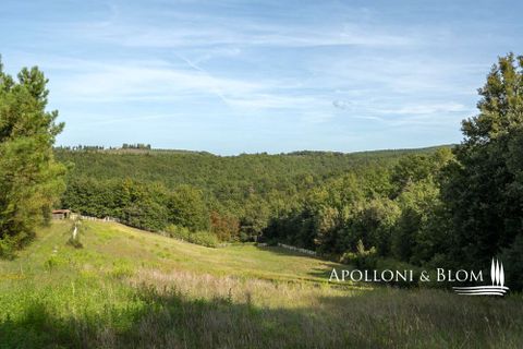 Villa i Trequanda, Siena, Trequanda - € 3.150.000 | Ref: TRQ3345-986353 - foto 45