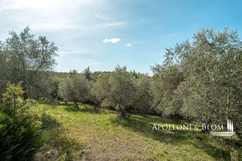 Villa i Trequanda, Siena, Trequanda - € 3.150.000 | Ref: TRQ3345-986353 - foto 46