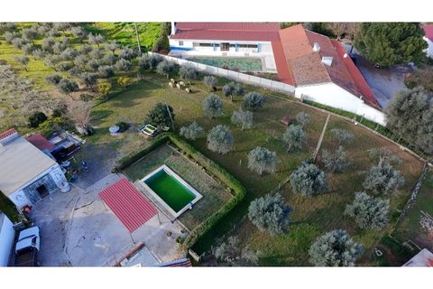 Farm i Borba, Evora, Borba - € 320.000 | Ref: ALT003/035/2026 - foto 5