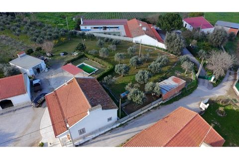 Farm i Borba, Evora, Borba - € 320.000 | Ref: ALT003/035/2026 - foto 9