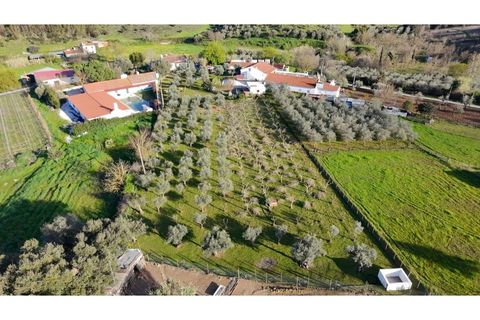 Farm i Borba, Evora, Borba - € 320.000 | Ref: ALT003/035/2026 - foto 10