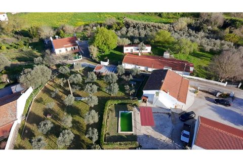 Farm i Borba, Evora, Borba - € 320.000 | Ref: ALT003/035/2026 - foto 12