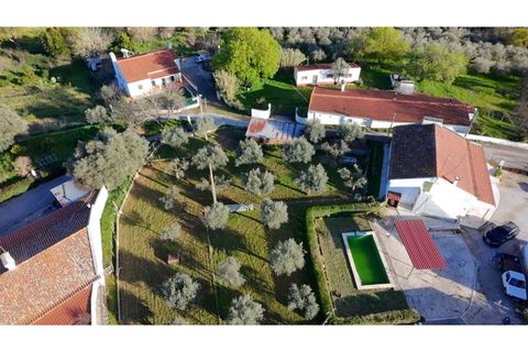 Farm i Borba, Evora, Borba - € 320.000 | Ref: ALT003/035/2026 - foto 13