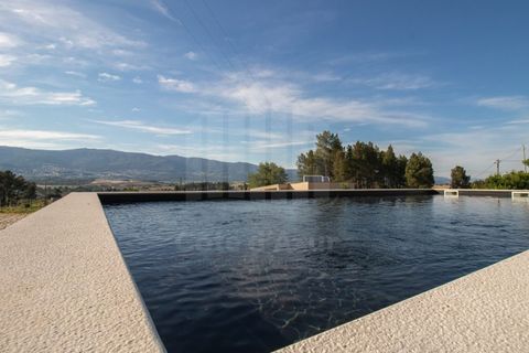 Gård i Ferro, Castelo Branco, Ferro - € 1 750 000 | Ref: 10214 - foto 2