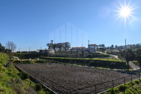 Gård i Ferro, Castelo Branco, Ferro - € 1 750 000 | Ref: 10214 - foto 41