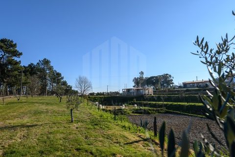Gård i Ferro, Castelo Branco, Ferro - € 1 750 000 | Ref: 10214 - foto 42