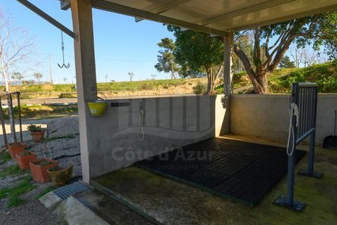 Gård i Ferro, Castelo Branco, Ferro - € 1 750 000 | Ref: 10214 - foto 45