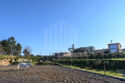 Gård i Ferro, Castelo Branco, Ferro - € 1 750 000 | Ref: 10214 - foto 47