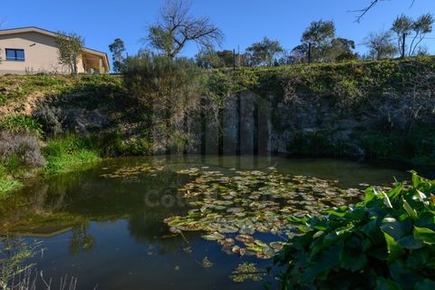 Gård i Ferro, Castelo Branco, Ferro - € 1 750 000 | Ref: 10214 - foto 50