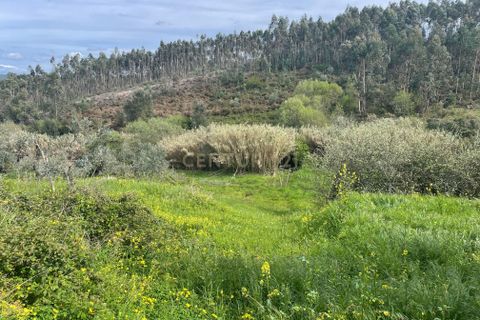 Villa i Carvalhal, Santarem, Carvalhal - € 42.900 | Ref: C0364-05707 - foto 7