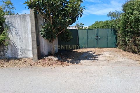 Helårsgrund i Sintra, Lisbon, Sintra - € 700.000 | Ref: C0364-05708 - foto 4