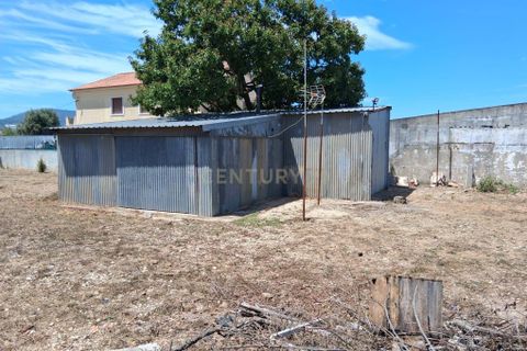 Helårsgrund i Sintra, Lisbon, Sintra - € 700.000 | Ref: C0364-05708 - foto 7