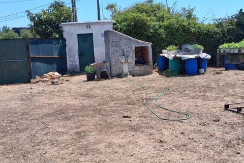 Helårsgrund i Sintra, Lisbon, Sintra - € 700.000 | Ref: C0364-05708 - foto 9