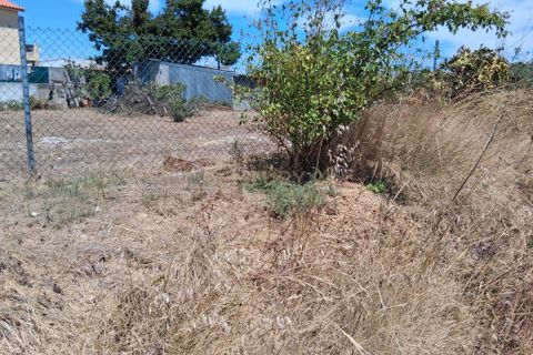 Helårsgrund i Sintra, Lisbon, Sintra - € 700.000 | Ref: C0364-05708 - foto 11