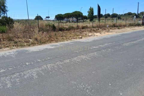 Helårsgrund i Sintra, Lisbon, Sintra - € 700.000 | Ref: C0364-05708 - foto 12