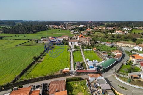 Granja a Vila do Conde, Porto, Vila do Conde - € 700.000 | Ref: 1125391 - foto 2