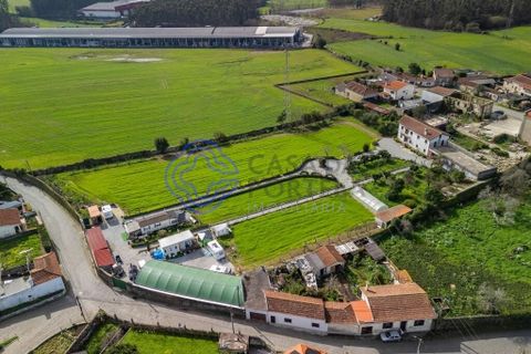 Granja a Vila do Conde, Porto, Vila do Conde - € 700.000 | Ref: 1125391 - foto 4