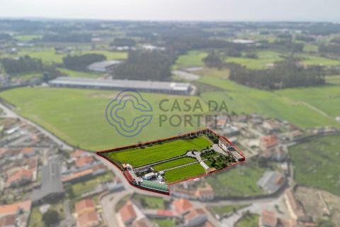 Granja a Vila do Conde, Porto, Vila do Conde - € 700.000 | Ref: 1125391 - foto 6